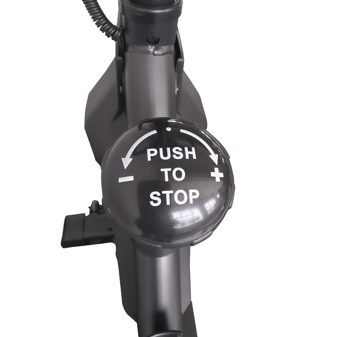 ALMA BIKES START GREEN